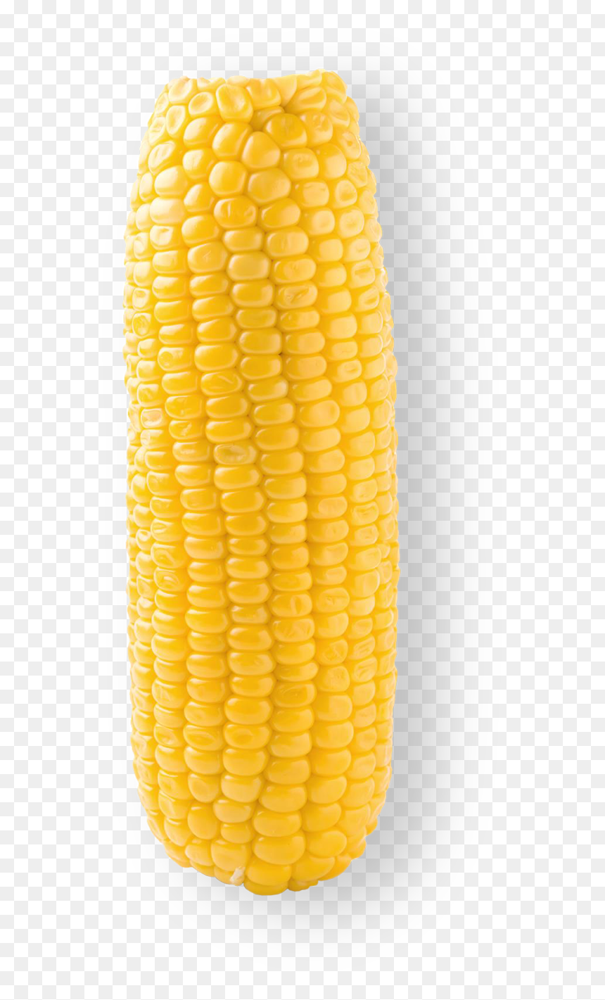 Choclo Png, Transparent Png - sweet corn png