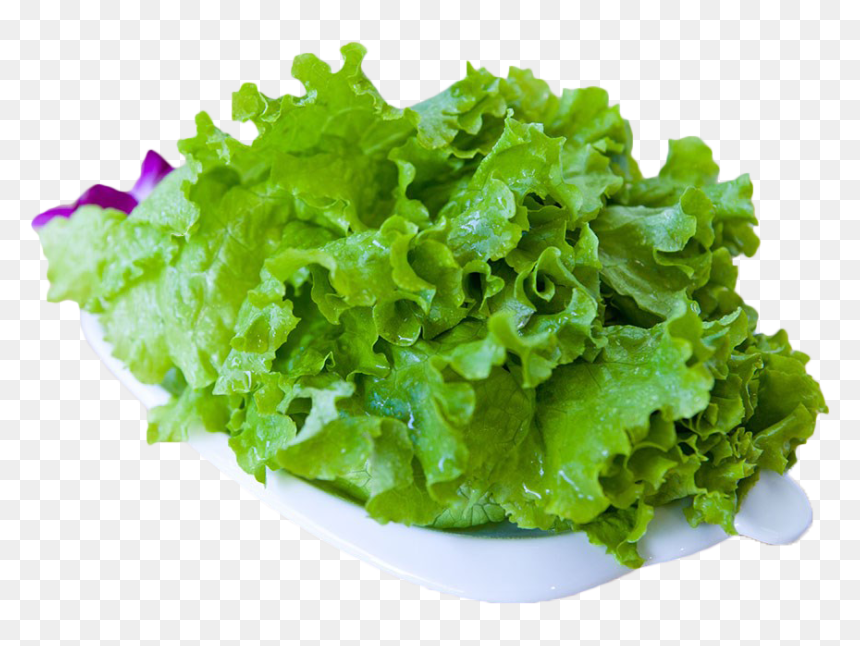 Imágenes De Cilantro, HD Png Download - green vegetables png