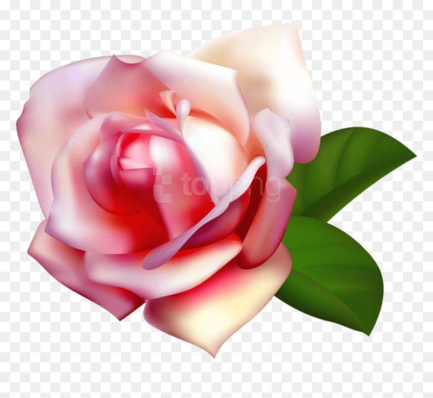 Transparent Garden Clipart Background - Transparent Background Rose Pink, HD Png Download - pink rose flower png
