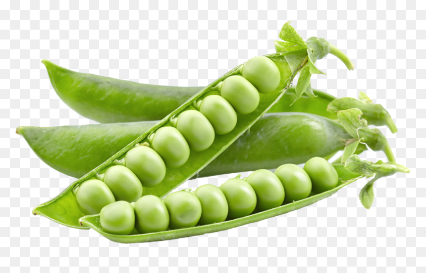 Pea Png - Chicharos En Ingles, Transparent Png - green vegetables png