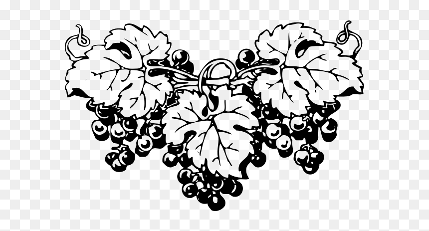 Grapes - Black And White Grapes Png, Transparent Png - black grapes png