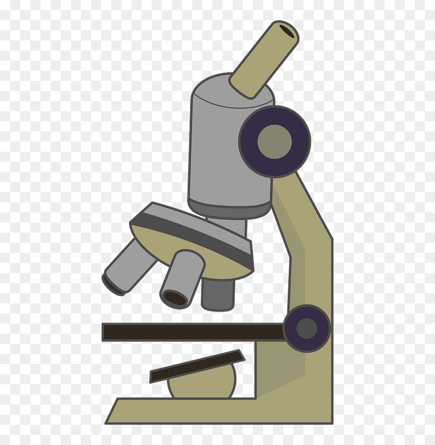 Microscope Clipart, HD Png Download - microscope clipart png