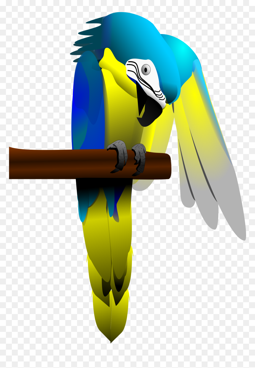 Blue And Yellow Macaw Parrot Clip Arts - Blue-and-yellow Macaw, HD Png Download - parrot png images