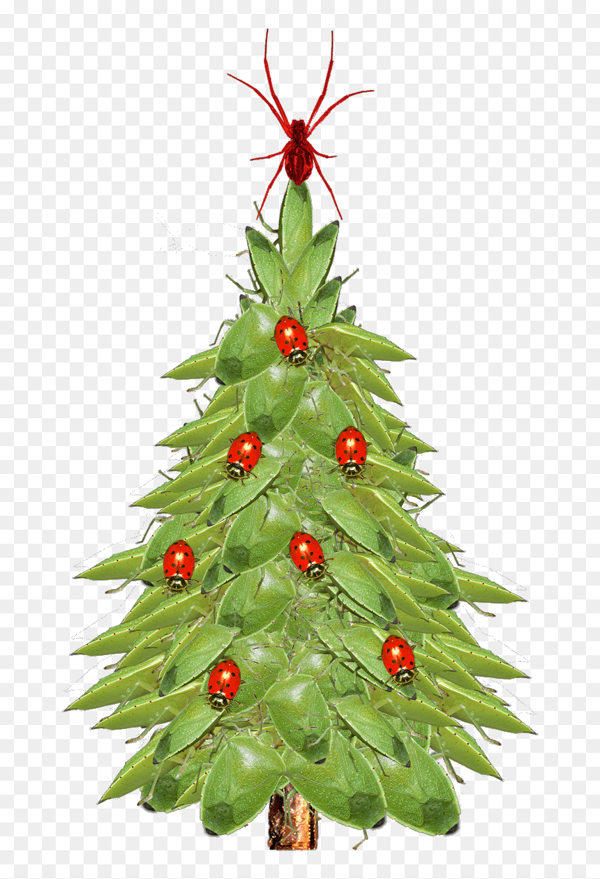 Christmas Tree Closeup - Xmas Tree, HD Png Download - x mas tree png