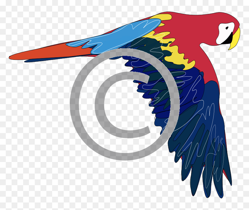 Parrot Clip Art, HD Png Download - parrot png images