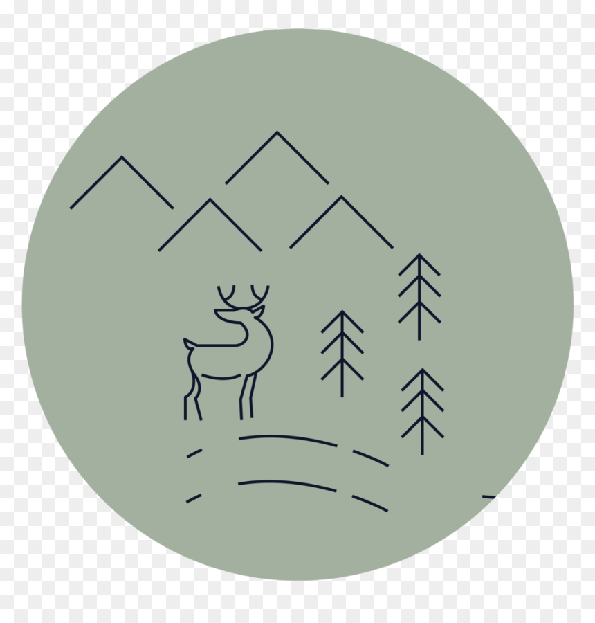 Wildlife - Circle, HD Png Download - kerala elephant png