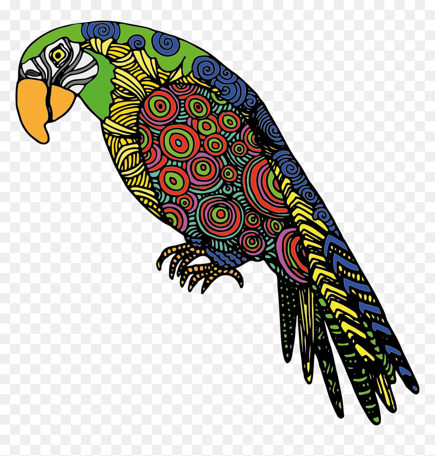 Detailed Parrot Clip Arts - Parrot Abstract, HD Png Download - parrot png images