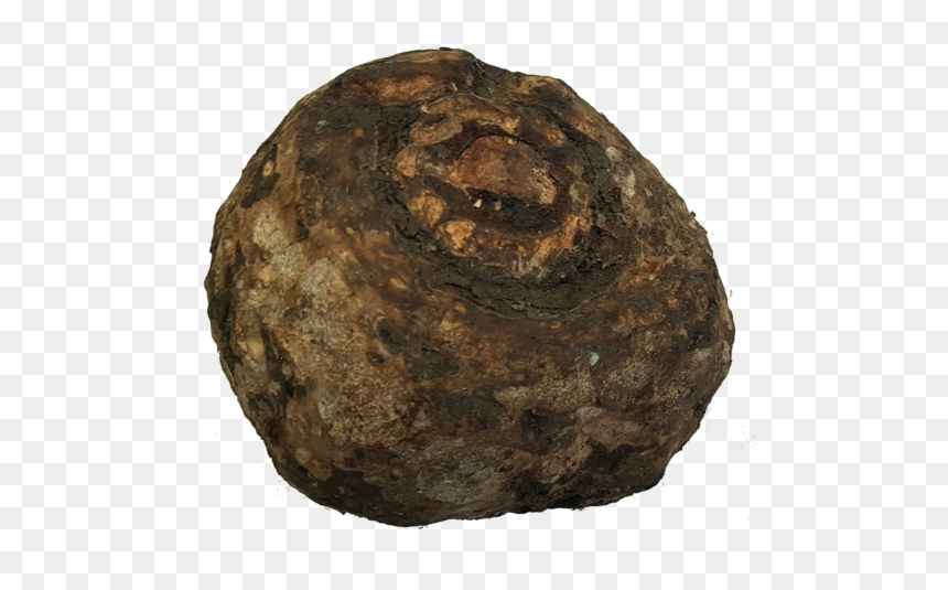 Igneous Rock, HD Png Download - kerala elephant png
