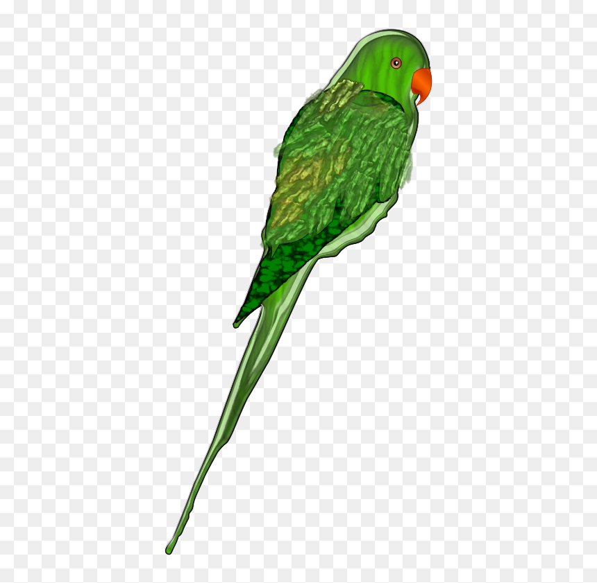 Parrot Png Clip Arts - Parakeet, Transparent Png - parrot png images