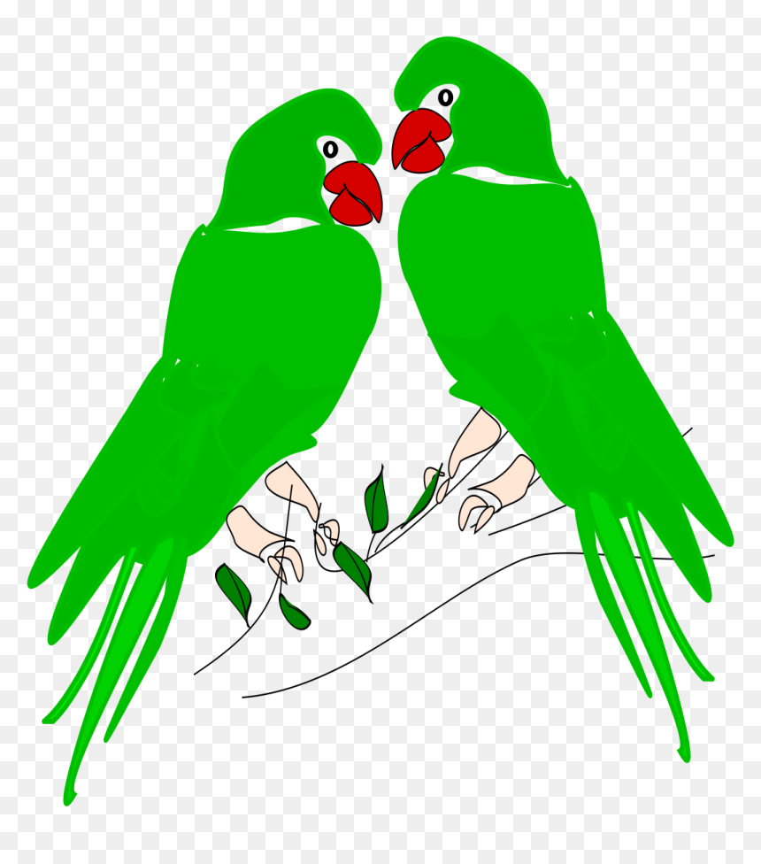 Parrots, HD Png Download - parrot png images