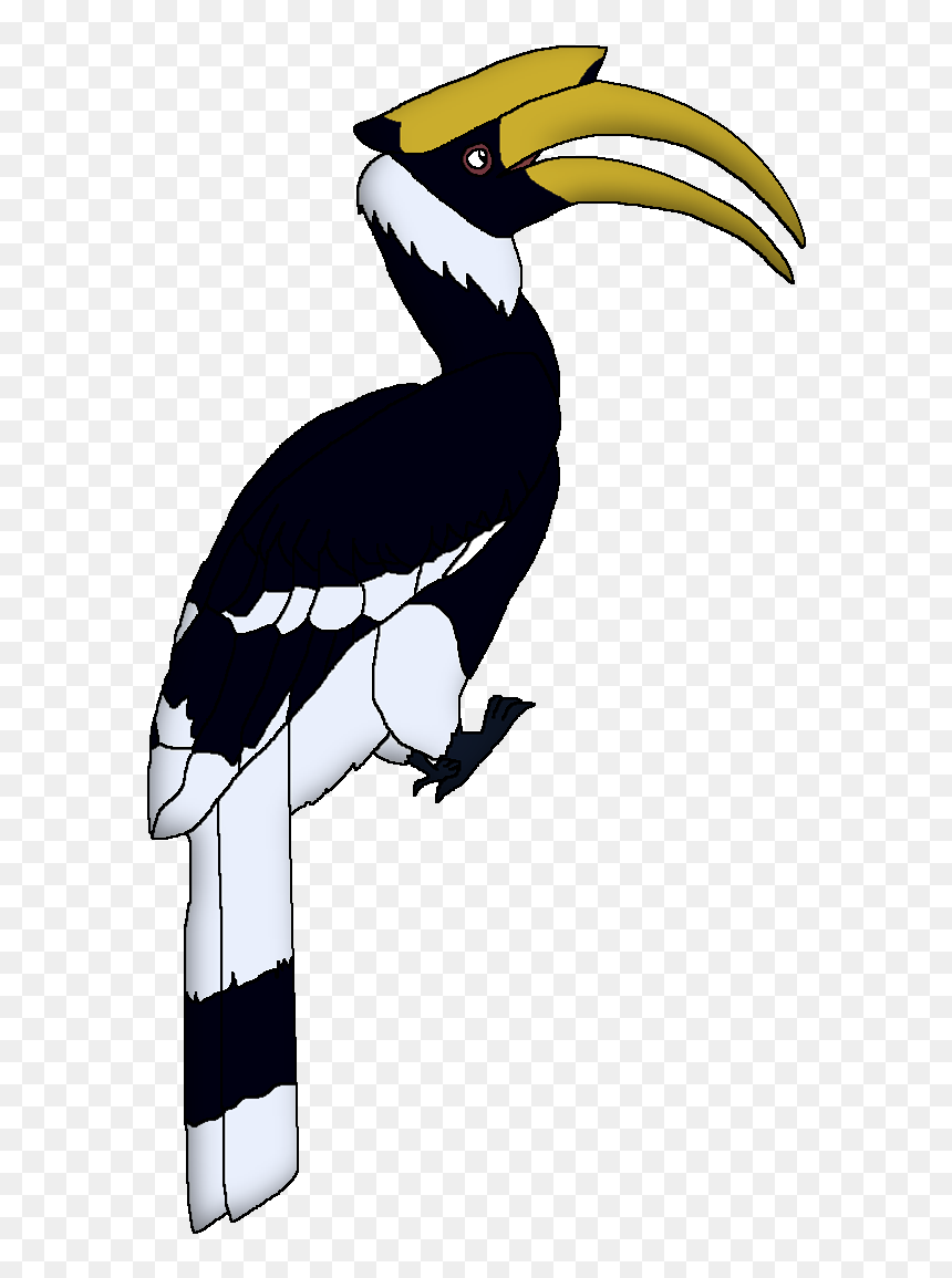 Wildlife Animal Pedia Wiki - Great Hornbill Transparent, HD Png Download - kerala elephant png