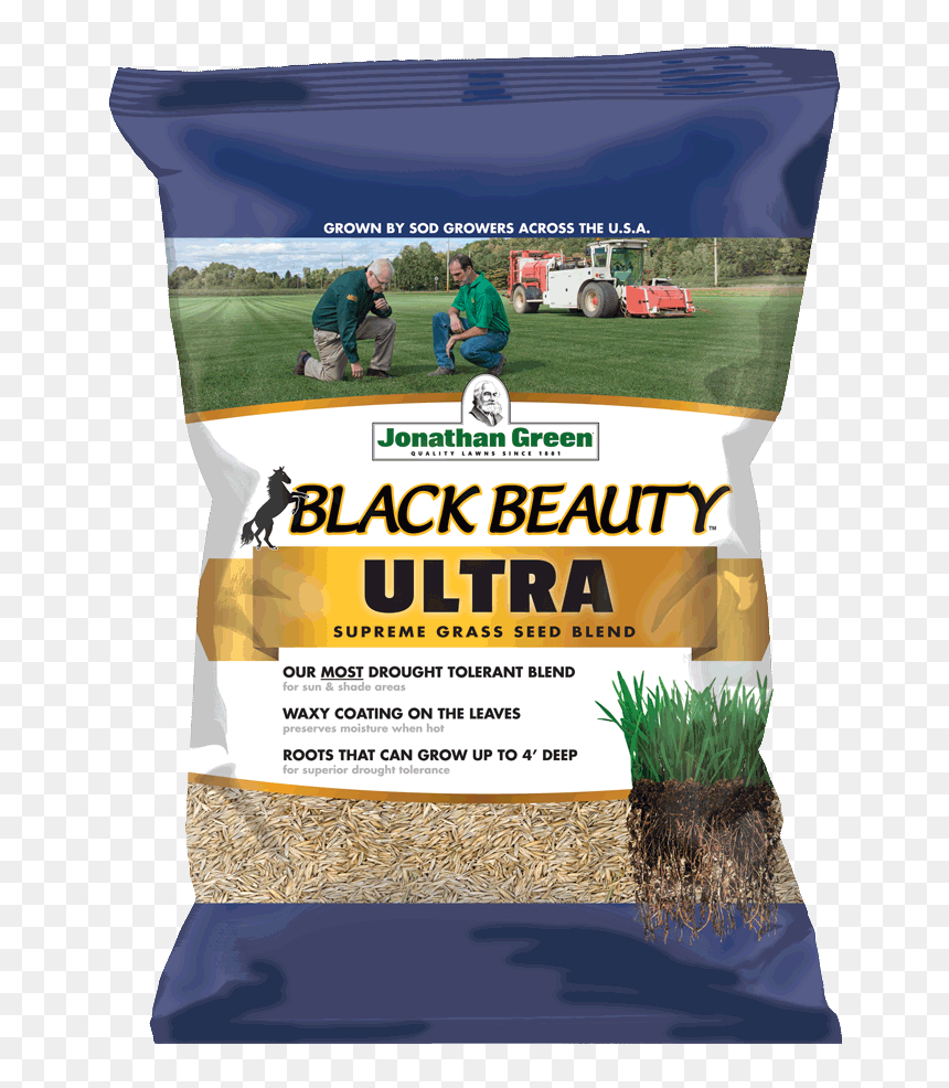 Black Beauty Grass Seed, HD Png Download - grass plan png
