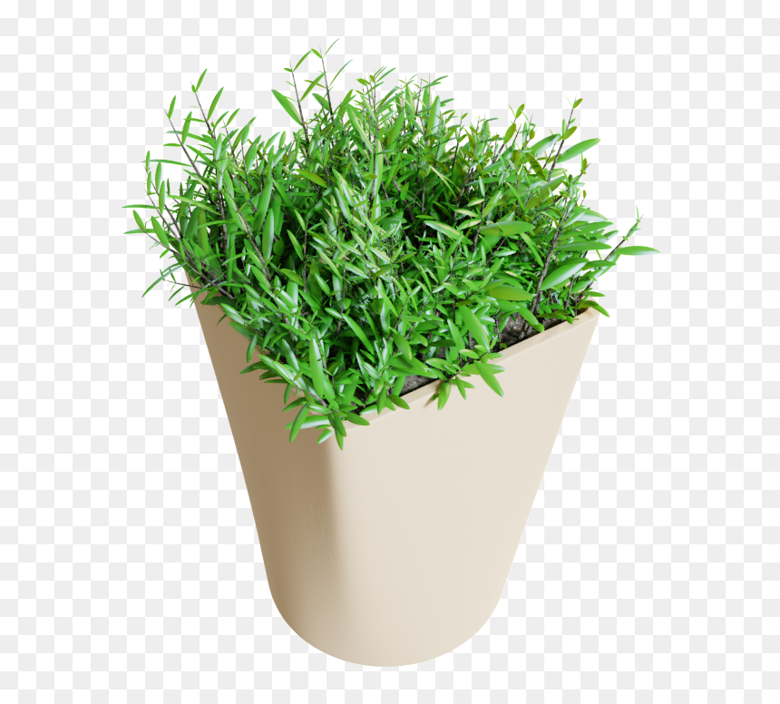Flowerpot, HD Png Download - grass plan png