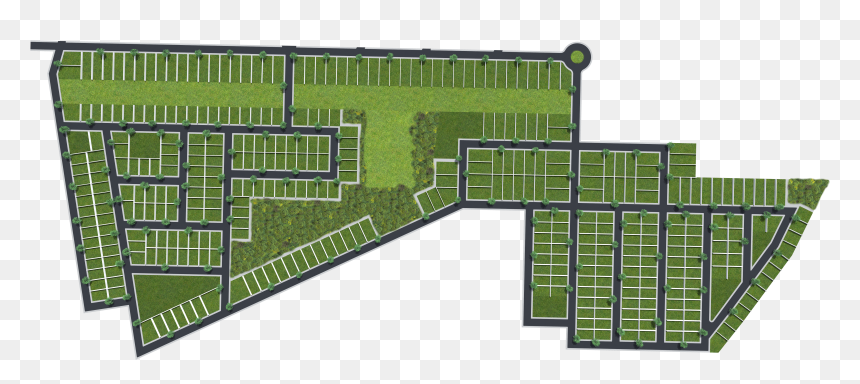 File - Web, HD Png Download - grass plan png