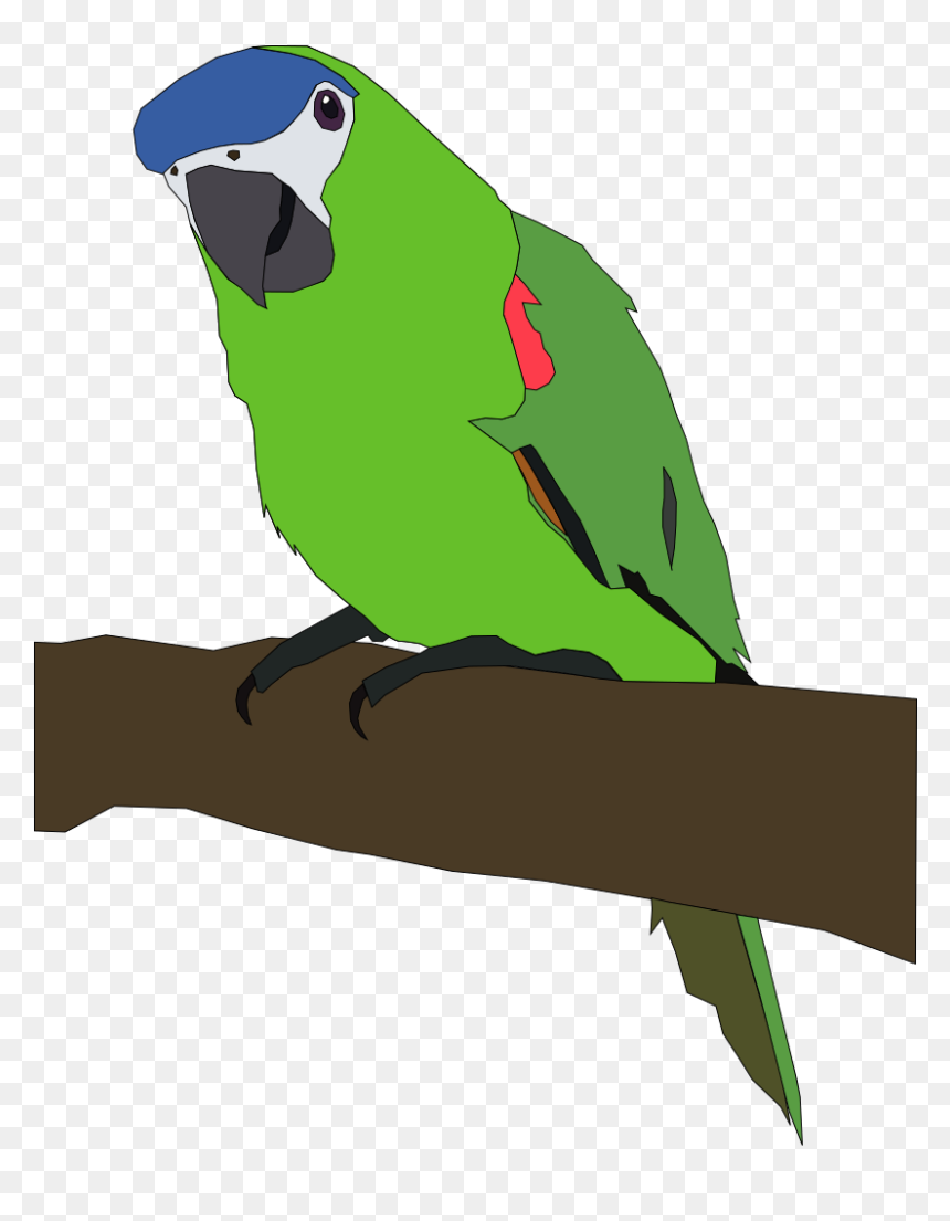 Perched Parrot Svg Clip Arts - Parrot Clip Art, HD Png Download - parrot png images