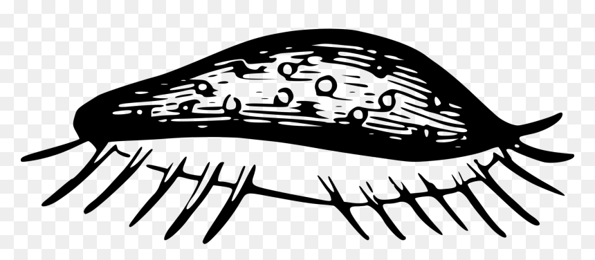 Human Behavior,art,line Art - Gusanos Blanco Y Negro Png, Transparent Png - microscope clipart png