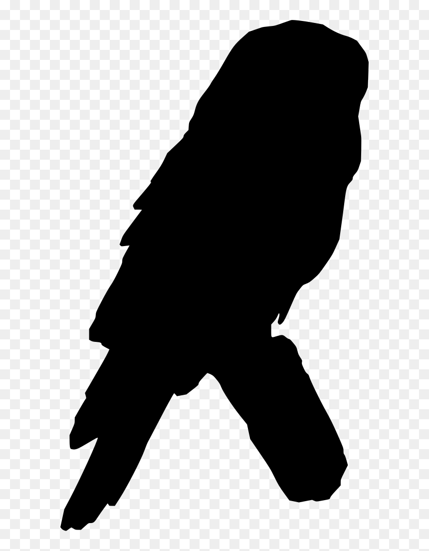 Parrot , Png Download - Bird Of Prey, Transparent Png - parrot png images