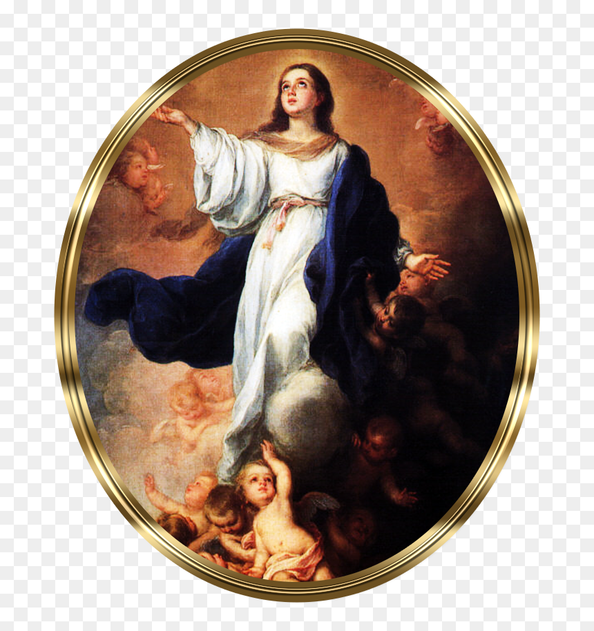 Prayers For Feast Of The Assumption, HD Png Download - mother mary png