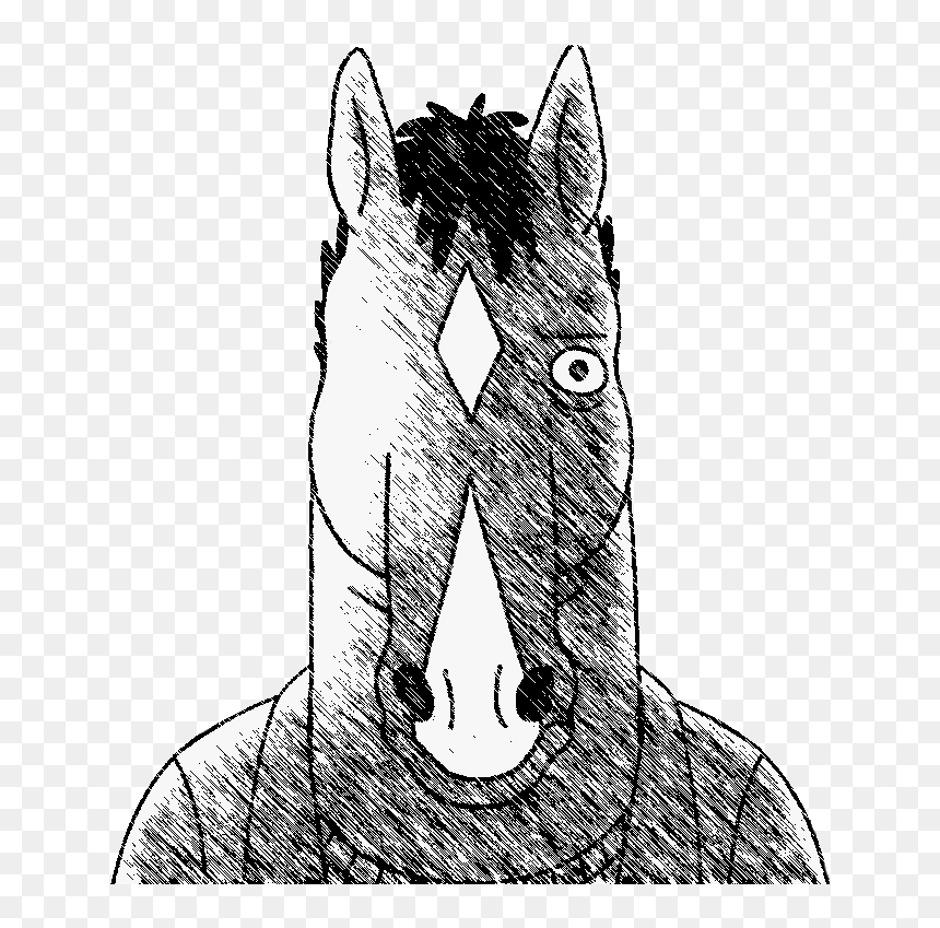 Horse Line Art Head Drawing Snout Mane - Sketch, HD Png Download - bojack horseman png