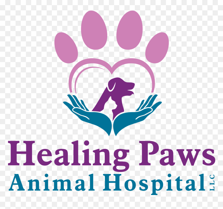 Healing Paws Animal Hospital - Graphic Design, HD Png Download - paws png