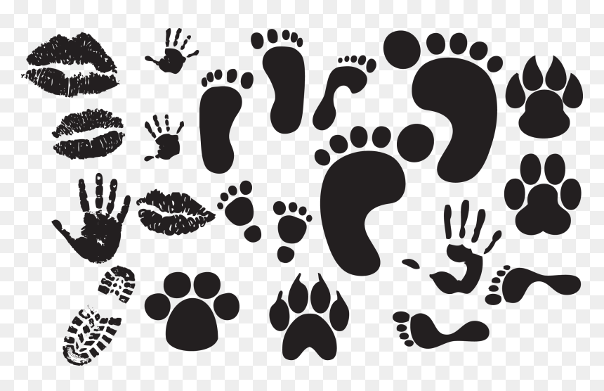 Paws Png, Transparent Png - paws png
