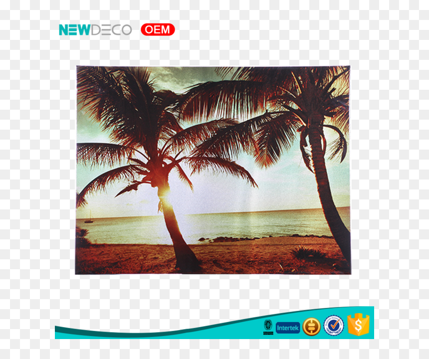 Oil Painting, HD Png Download - beach coconut tree png
