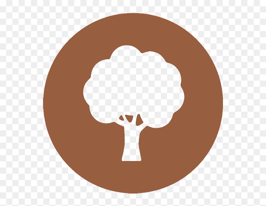 Life - Illustration, HD Png Download - mission images png