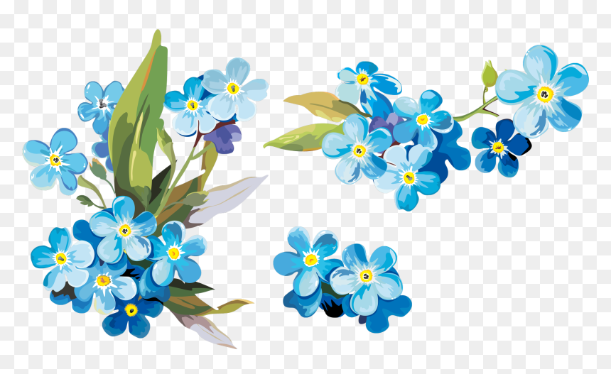 Open Full Size Watercolor Painting Paper Clip Art - Forget Me Nots Watercolor, HD Png Download - not png