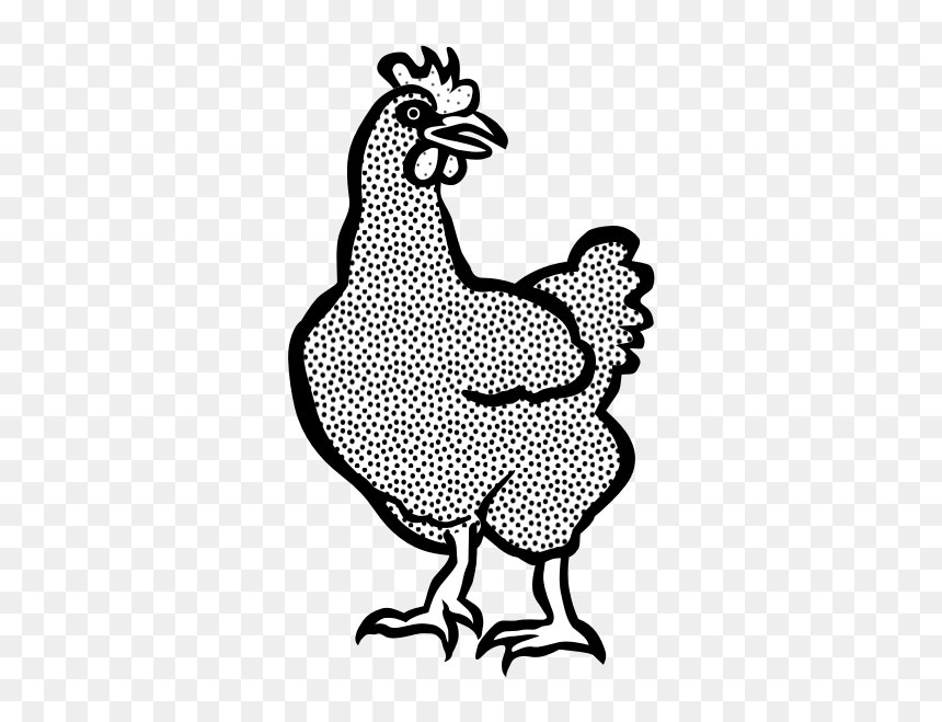 Coloring Book Image Of A Hen - Imagem Da Galinha Xadrez Para Colorir, HD Png Download - hen png images