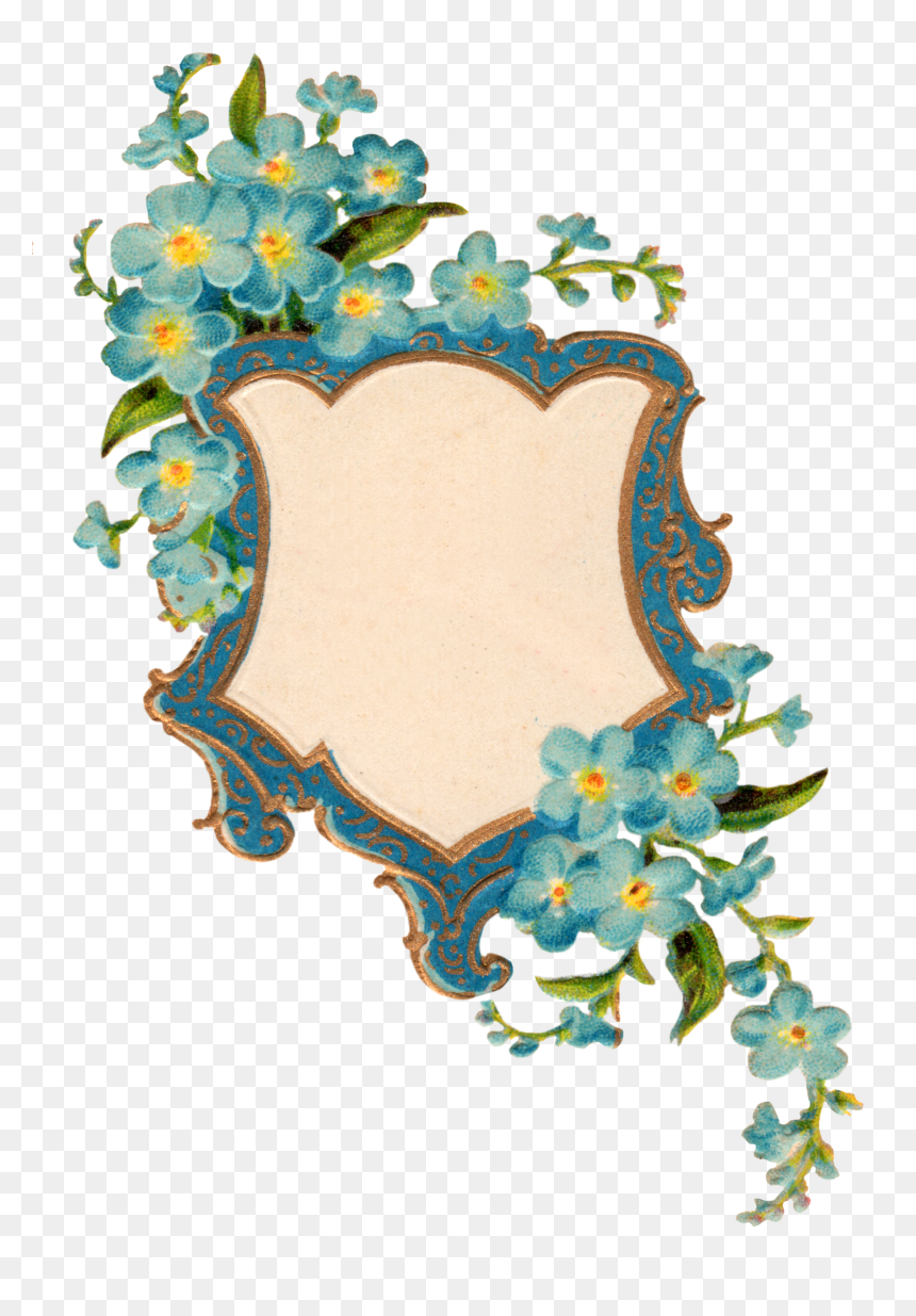 Forget Me Not Png Picture - Portable Network Graphics, Transparent Png - not png