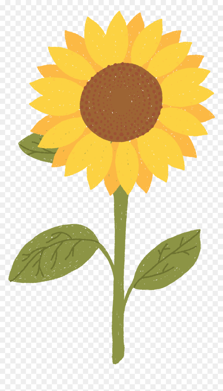 Paperdayprintables Fall-17 - Valued And Respected, HD Png Download - welcome flowers png