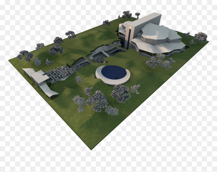 Lawn, HD Png Download - grass plan png