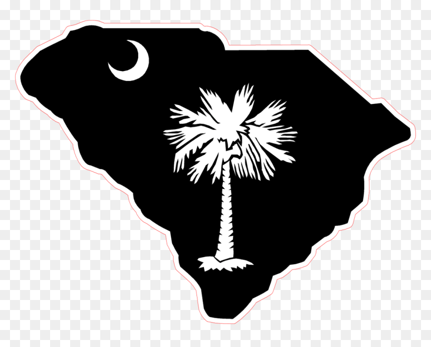 Flag Of South Carolina Berkeley County, South Carolina - Black South Carolina Flag, HD Png Download - south carolina logo png