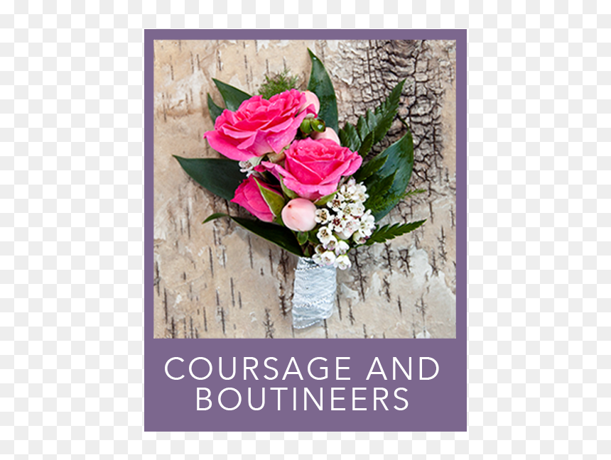 Coursage And Boutineers - Garden Roses, HD Png Download - welcome flowers png