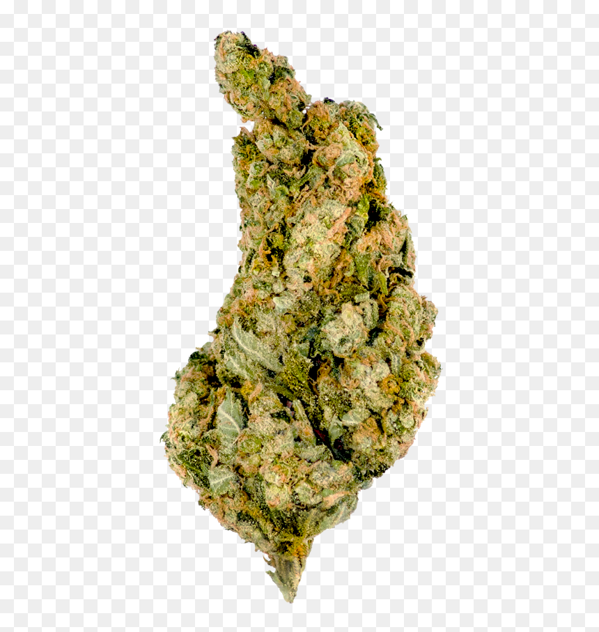 Giant Skittlez Bud Marijuana - Giant Skittlez, HD Png Download - weed nugget png