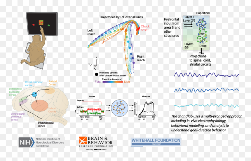 Diagram, HD Png Download - chand png