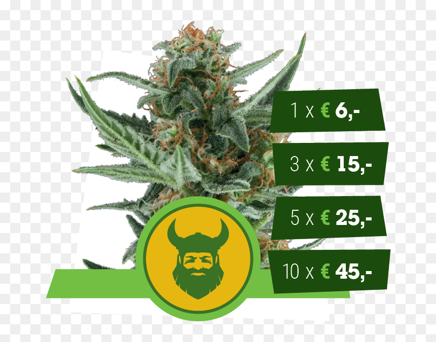 Royal Dwarf Sativa, HD Png Download - weed nugget png