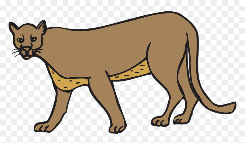 Clipart Of A Cougar, HD Png Download - cougar png