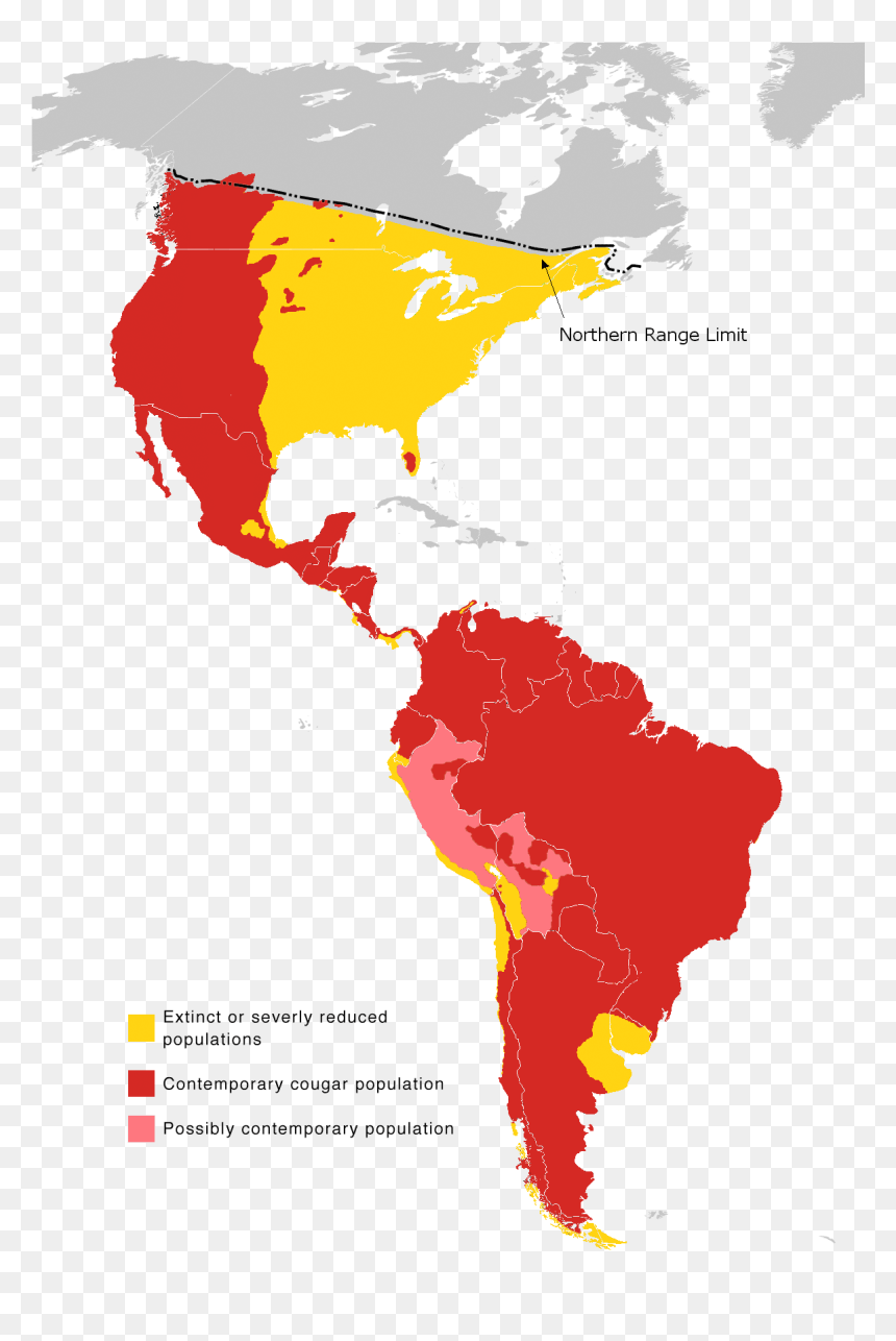 Cougar Range Map 2010 - Latin America, HD Png Download - cougar png