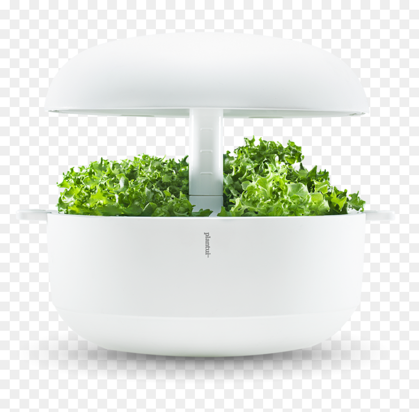 Plantui 6 Smart Garden, HD Png Download - grass plan png