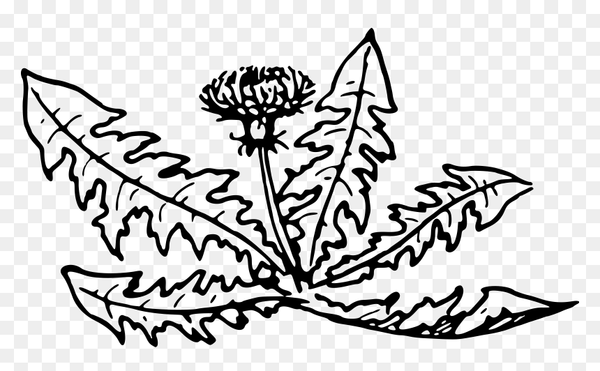 Free Dandelion Clip Art Black And White, HD Png Download - space dandy png