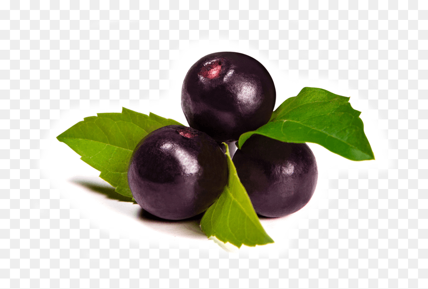 Thumb Image - Acai Berries, HD Png Download - berry png