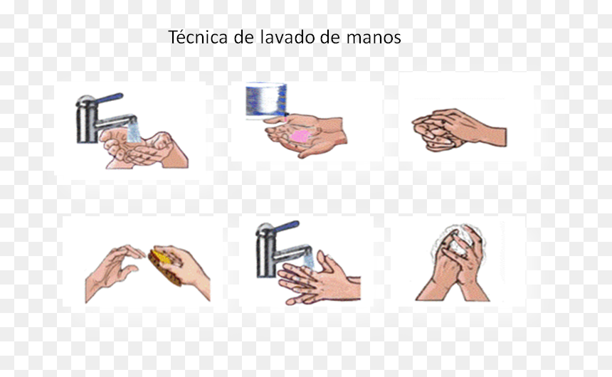 Lavado De Manos - Png De Manos Lavado, Transparent Png - manos png
