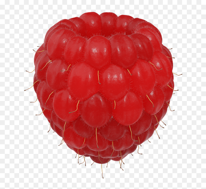 Hindbær Png, Transparent Png - berry png