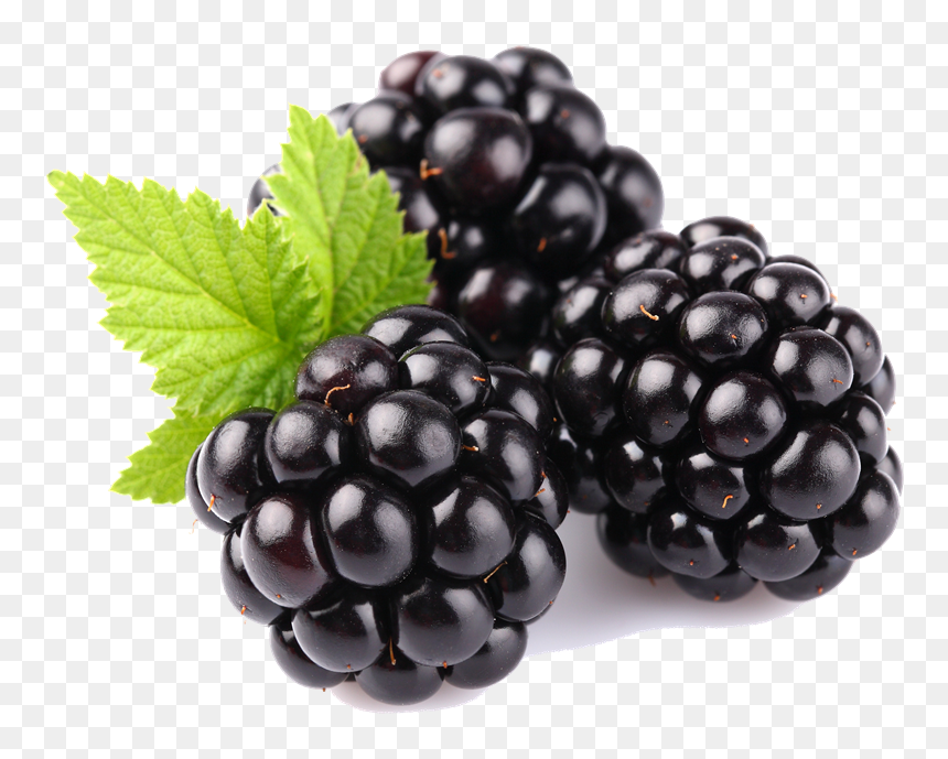 Blackberry Fruit Free Download Png - Blackberry Blue Berry Fruit, Transparent Png - berry png