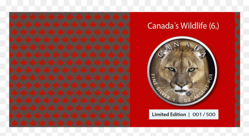 Ibca201962 4 - Maple Leaf, HD Png Download - cougar png