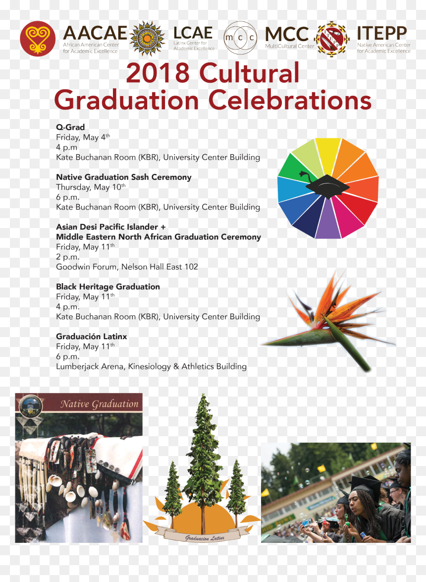 Actividades Culturales, HD Png Download - graduacion png
