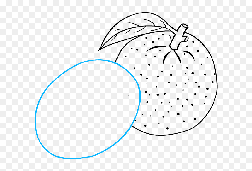 How To Draw Orange - Line Art, HD Png Download - annoying orange png