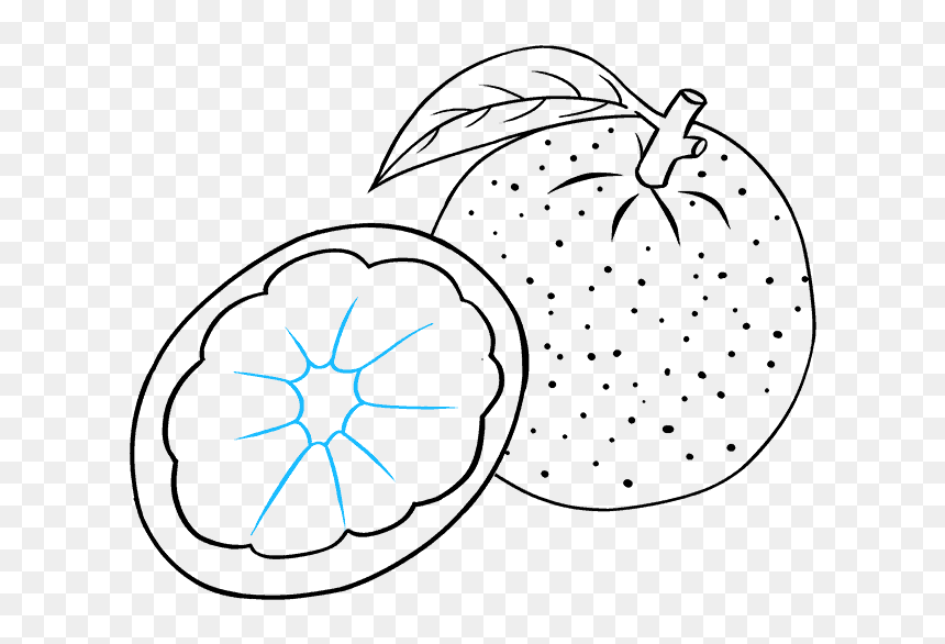 How To Draw Orange - Line Art, HD Png Download - annoying orange png