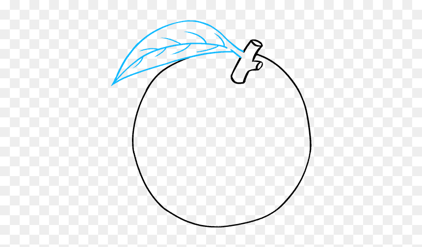 How To Draw Orange - Circle, HD Png Download - annoying orange png